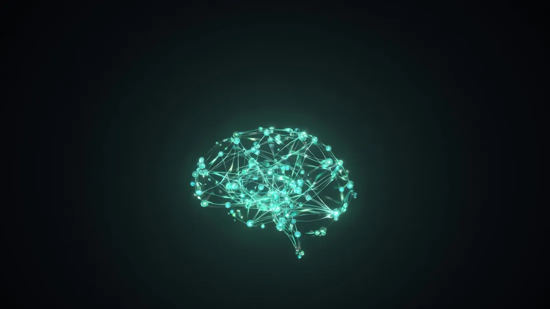 ViTPose++ : Pose Estimation Avancée avec Transformers